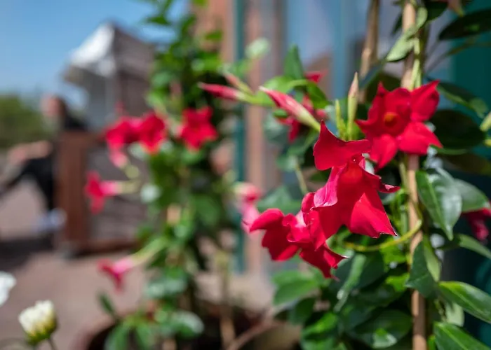 Garni Koelfhamm Hotel